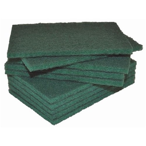 SCOURER NYLON GREEN 23CM X 15CM X 10 (20) 