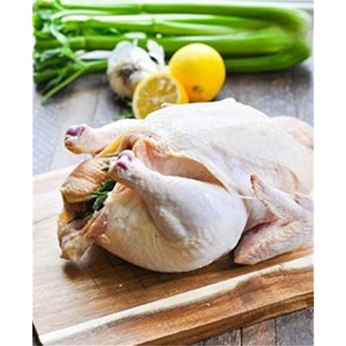 CHICKEN FRESH MARINATED NO14 X 10 (1)