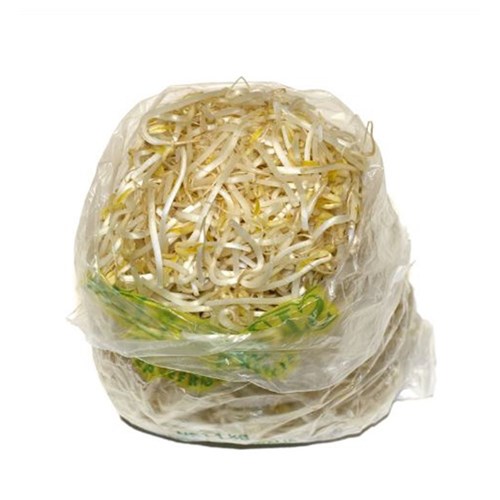 BEAN SPROUTS  KG   