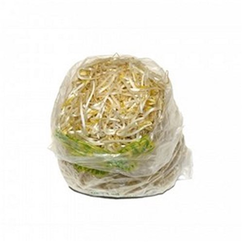BEAN SPROUTS  250G PUNNET   