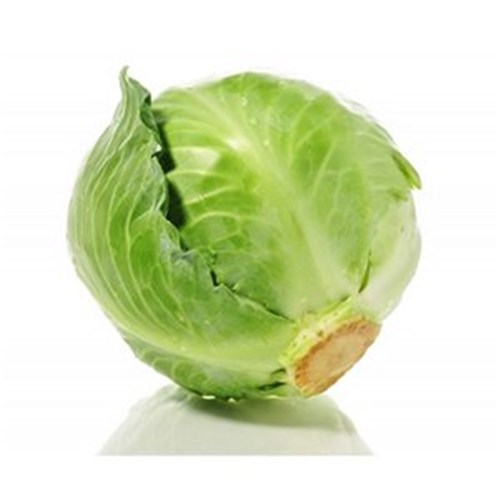 CABBAGE WHITE  EACH   