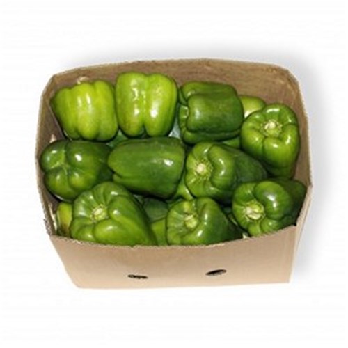 CAPSICUM GREEN  8KG CASE   