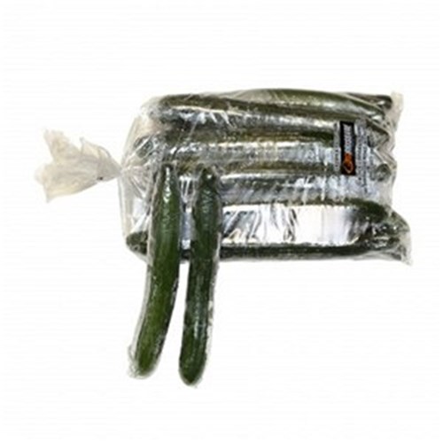 CUCUMBER CONTINENTAL  EACH   