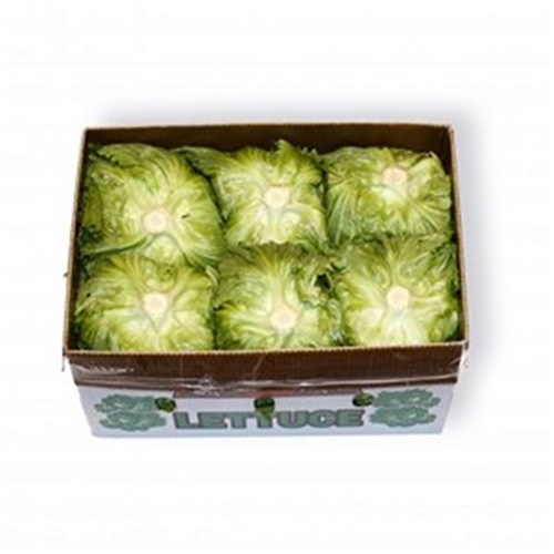 LETTUCE ICEBERG 12  CASE   