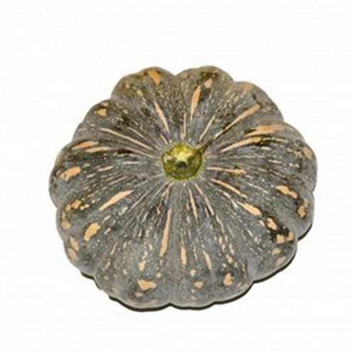 PUMPKIN JAP AP 3KG KG   