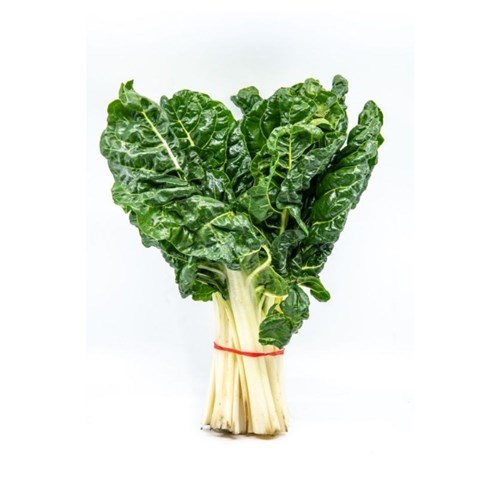 SILVERBEET BUNCH 