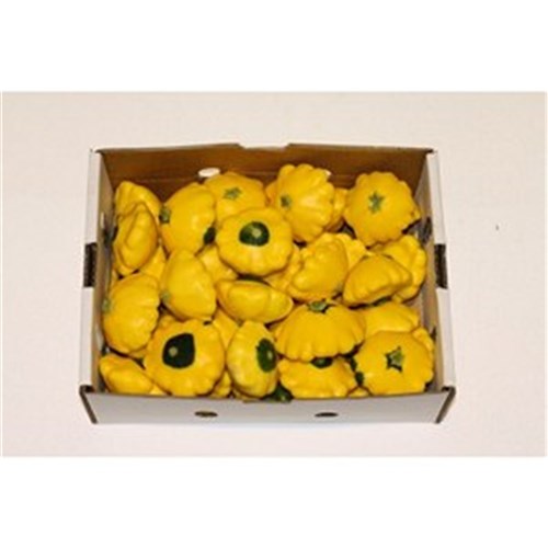 SQUASH GOLD 5KG TRAY   