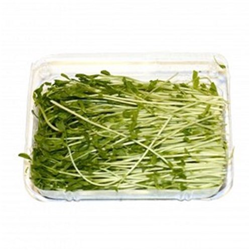 SNOWPEA SPROUTS 100G  PUNNET 