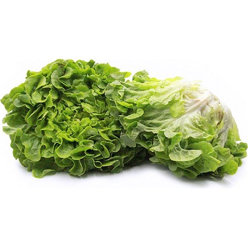 LETTUCE OAKLEAF GREEN 4KG CASE 