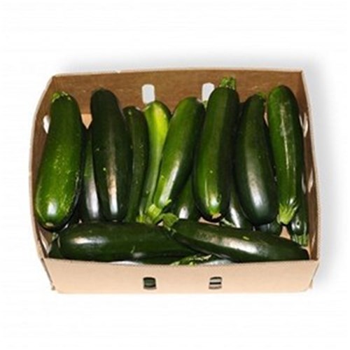 ZUCCHINI GREEN LARGE 10KG CASE 