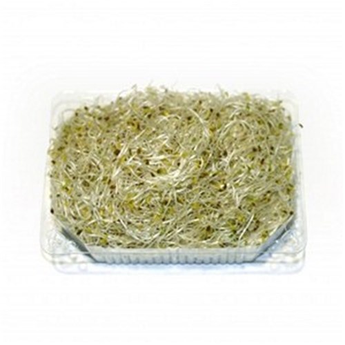 ALFALFA SPROUTS 500G 