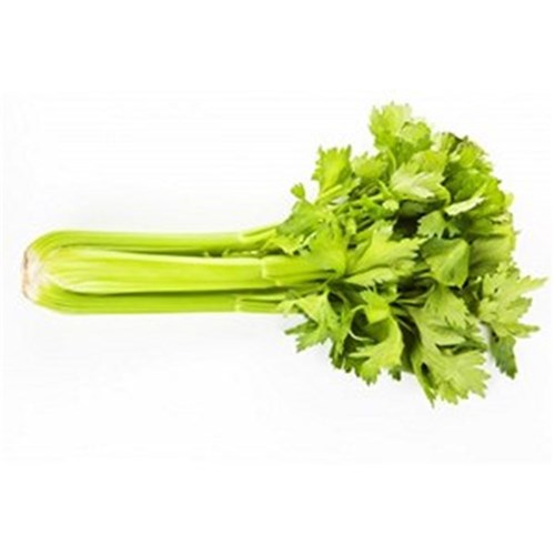 CELERY BUNCH 