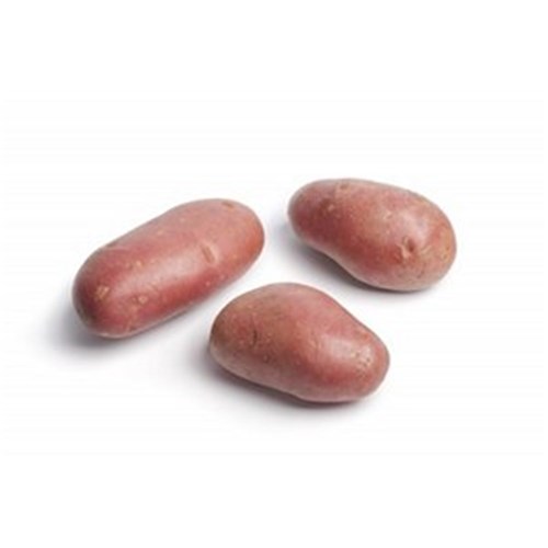 POTATOES DESIREE MEDIUM 20KG BAG 