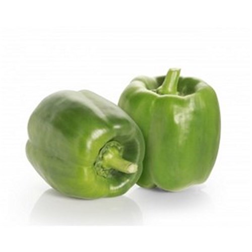 CAPSICUM GREEN  KG   