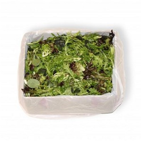 LETTUCE MESCLUN 1.5KG  BOX   