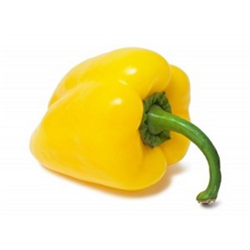 CAPSICUM GOLD  KG    