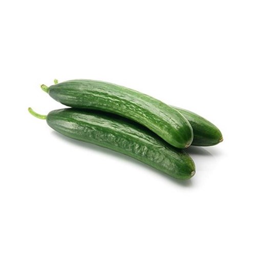 CUCUMBER LEBANESE 10KG  CASE   