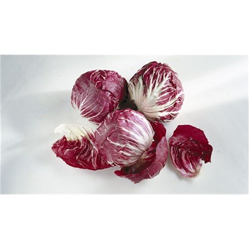LETTUCE RADICCHIO CASE  