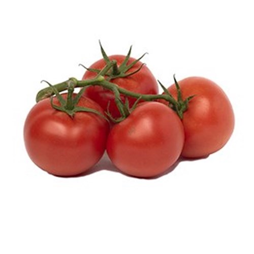 TOMATOES GOURMET TRUSS TRAY  