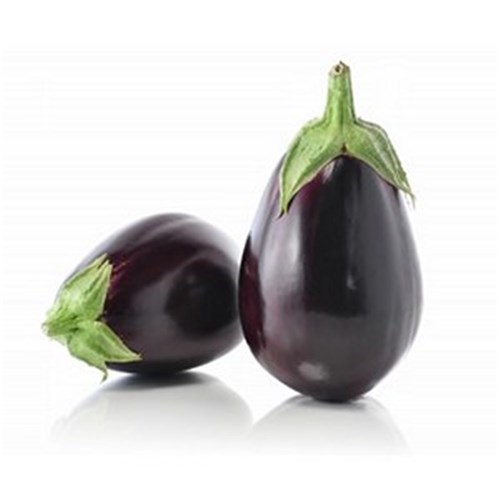 EGGPLANT  KG   