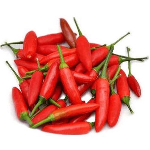 CHILLI BIRDSEYE  KG   