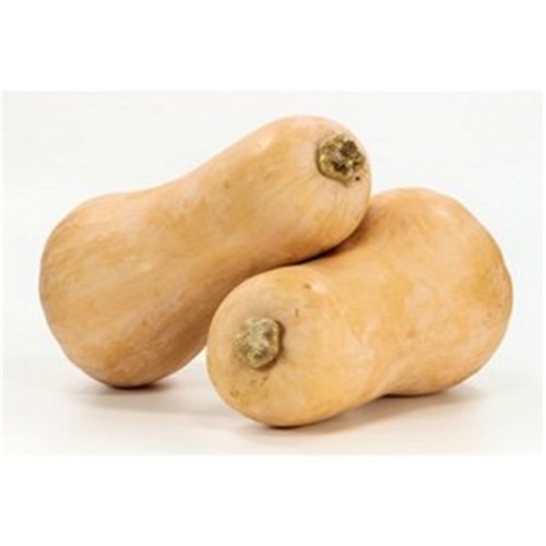 PUMPKIN BUTTERNUT  3KG   