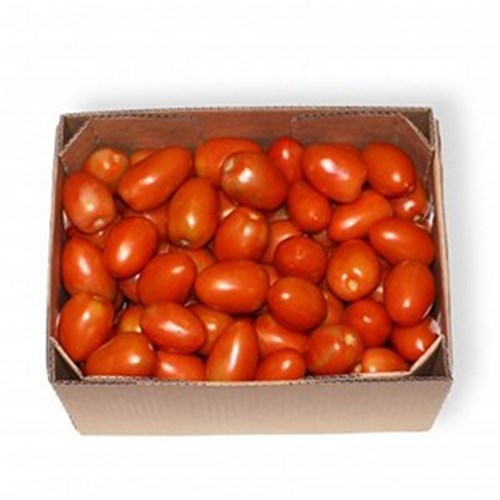 TOMATOES ROMA  KG   