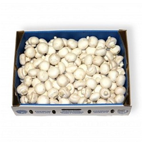MUSHROOMS BUTTON 4KG  CASE    