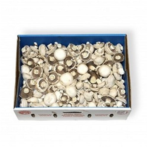 MUSHROOMS CUP 4KG  CASE   