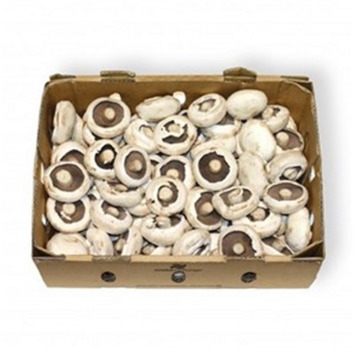 MUSHROOMS FLAT 4KG  CASE   