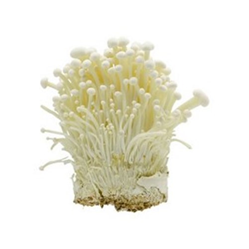 MUSHROOMS ENOKI  PUNNET   