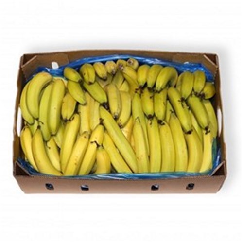 BANANAS CASE (13KG) 