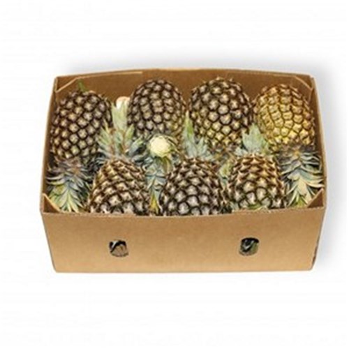 PINEAPPLES  16KG CASE   