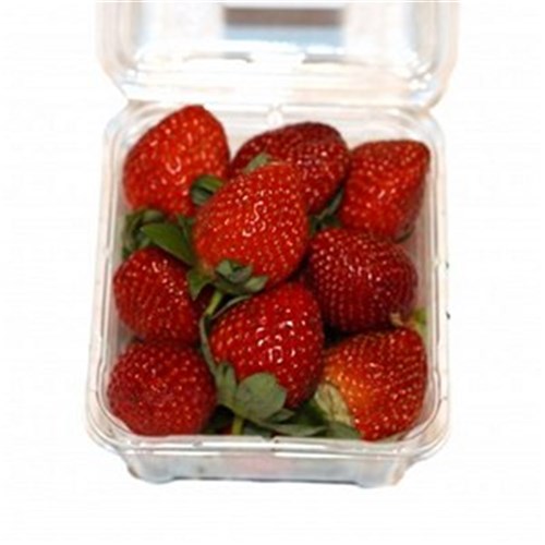 STRAWBERRIES LARGE 250G PUNNET   