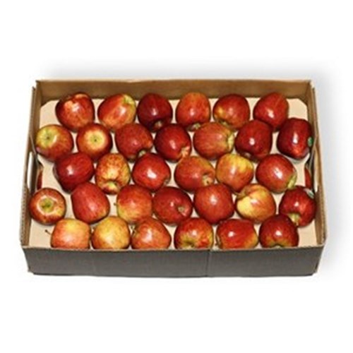APPLES PINK LADY LARGE (12KG) 