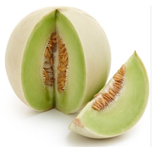 MELON HONEYDEW EACH 