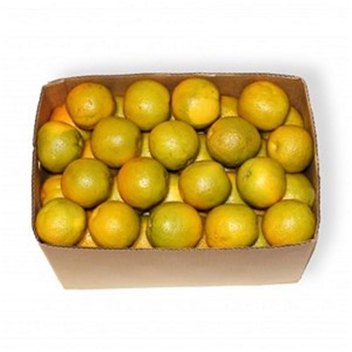 ORANGES VALENCIA SMALL 18KG CASE 