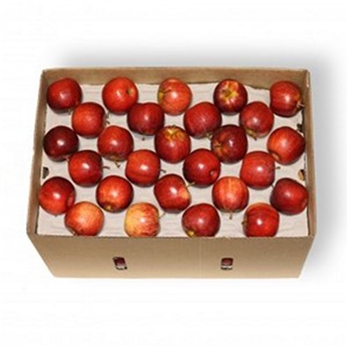 APPLES ROYAL GALA (18KG) 