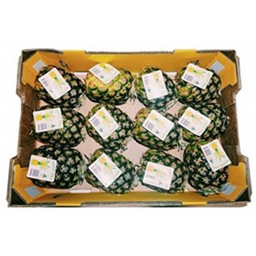 PINEAPPLE TOPLESS  EACH 