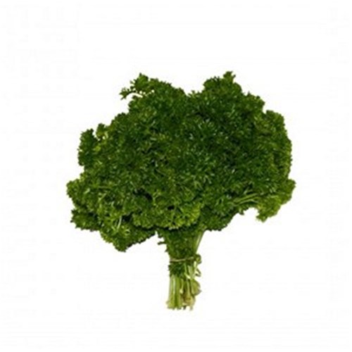 PARSLEY  BUNCH  