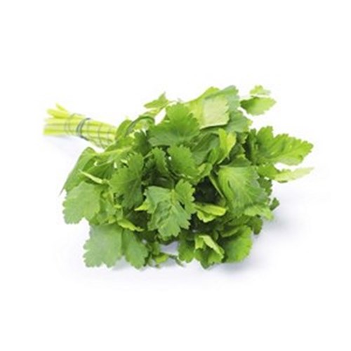 PARSLEY ITALIAN  BUNCH   