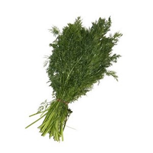 DILL  BUNCH  