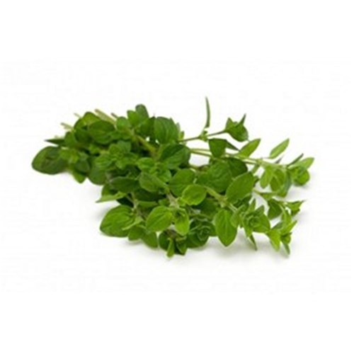 MARJORAM  BUNCH   