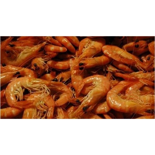 PRAWN MOOLOOLABA KING WHOLE CKD FZN 10/15 5KG (1)
