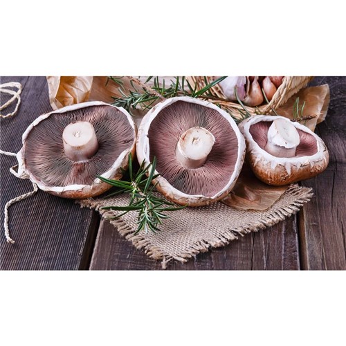 MUSHROOMS PORTABELLO CASE   