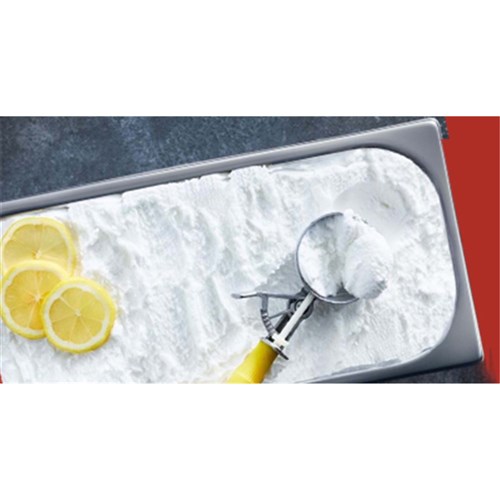 SORBET EV LEMON 5LT (1)