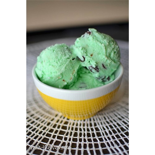 ICE CREAM PEPPERMINT CHIP 5L (1)