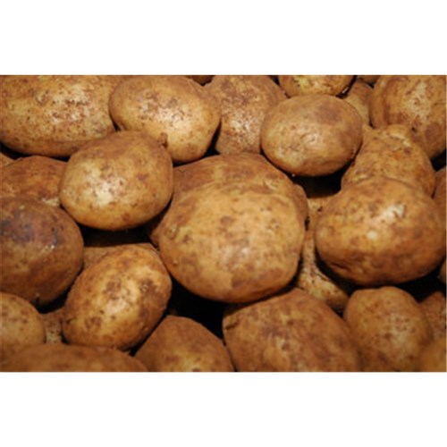POTATOES BRUSHED  KG