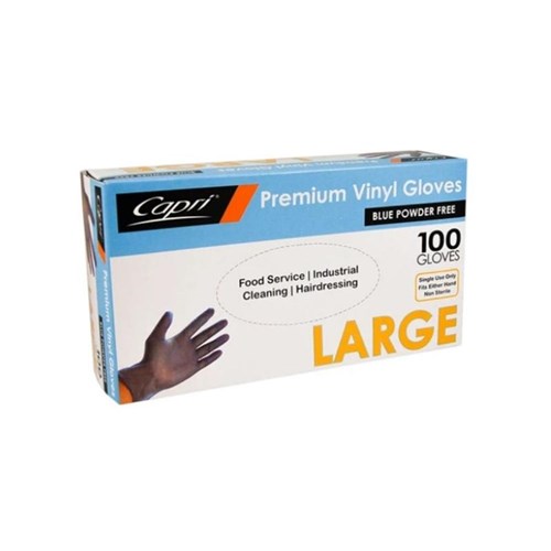 GLOVE BLUE VINYL POWDER FREE LARGE X 100  (10)
