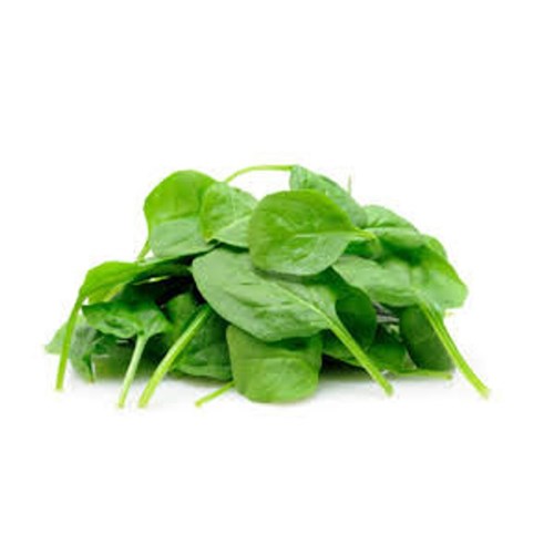 LETTUCE BABY SPINACH 500G PRE PACK   